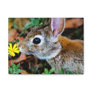 "Petals & Poise" – Rabbit in Bloom